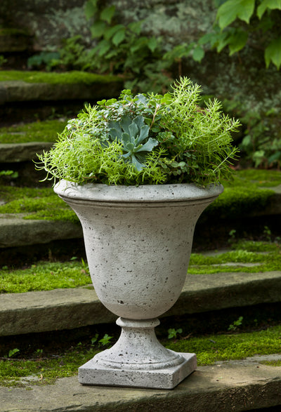 Small urn planted with greenery on mossy steps
