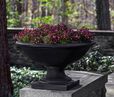 Black urn planted with purple flowers and shown on a wall