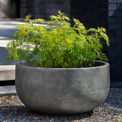 Low contemporary container planted with a small tree and shown on gravel floor
