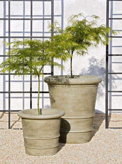 Two containers planted with small trees in front of metal trellis