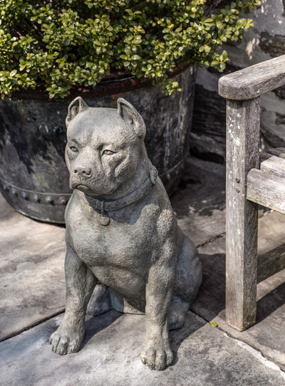 Sitting gray dog in front of pot
