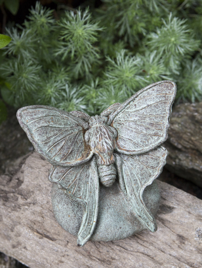 Gray lunar moth sitting on round stone