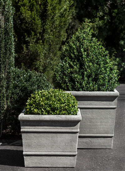Set of 2 square containers planted with shrubs
