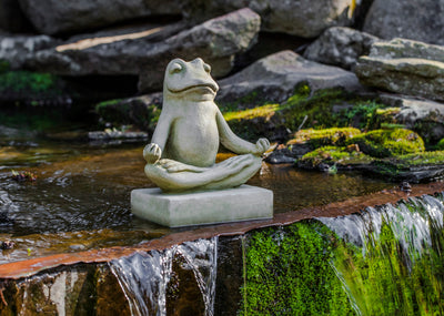 Small light green frog sitting in yoga pose by edge of waterfall