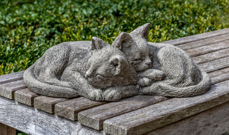 Two kittens sleeping next to you each other on a wooden bench