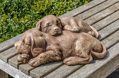 Two brown puppies sleeping next to each other on a wooden bench