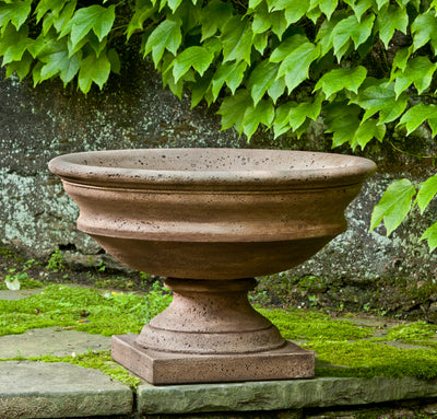 Light brown urn pictured on mossy floor and ivy wall