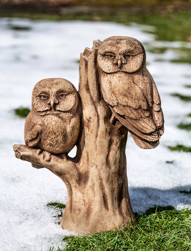 Two brown owls sitting on a vertical tree stump