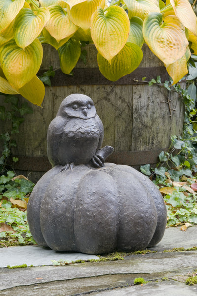 Gray owl sitting on top of a gray pumpkin