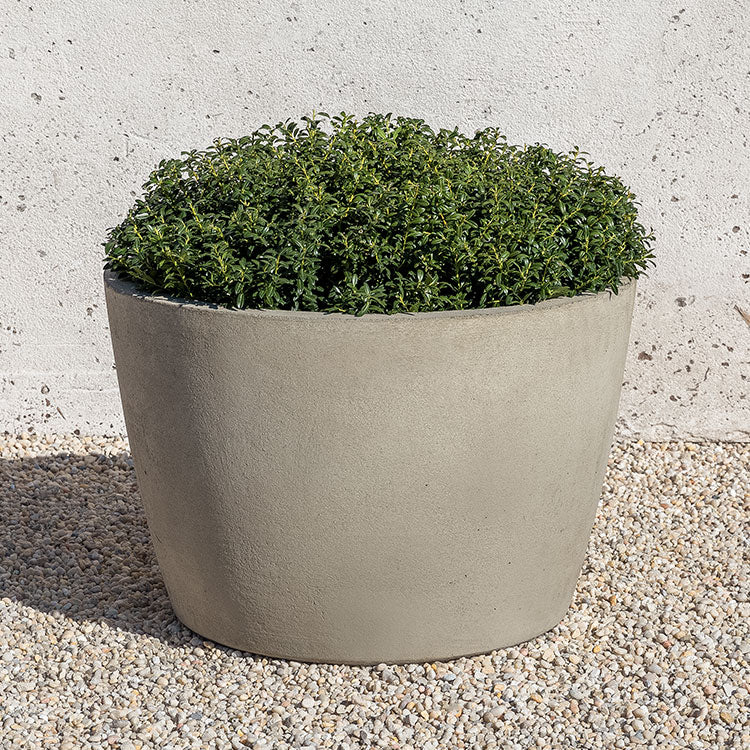 Light grey container planted with a shrub