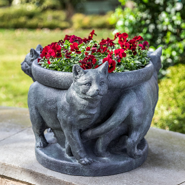 Planter with three full bodied cats around the edges