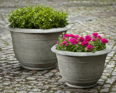 Set of 2 round containers with one planted with boxwood and one with pink geraniums