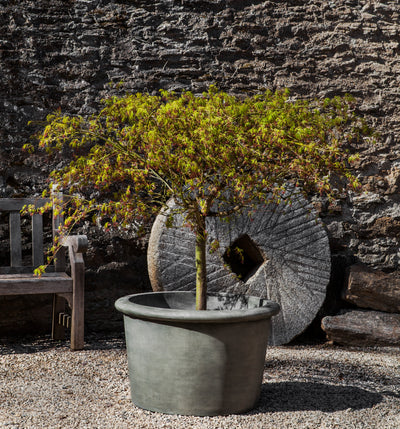 Large grey container planted with a small tree and shown in front of a millstone and wooden bench