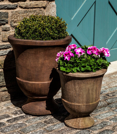Set of 2 brown urns planted with a boxwood and pink geraniums in front of a blue door