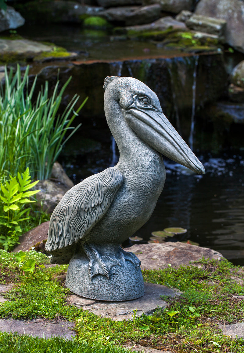 Light gray pelican standing on a small rock in front of waterfall
