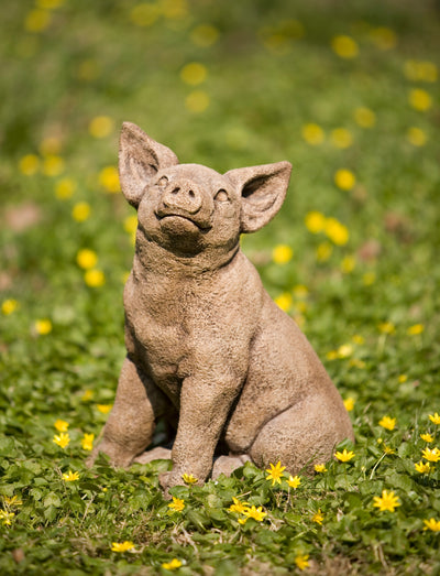 Happy light brown piglet sitting in flower field with ears up