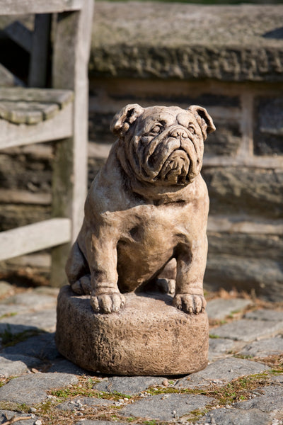 Sitting dog on a stone