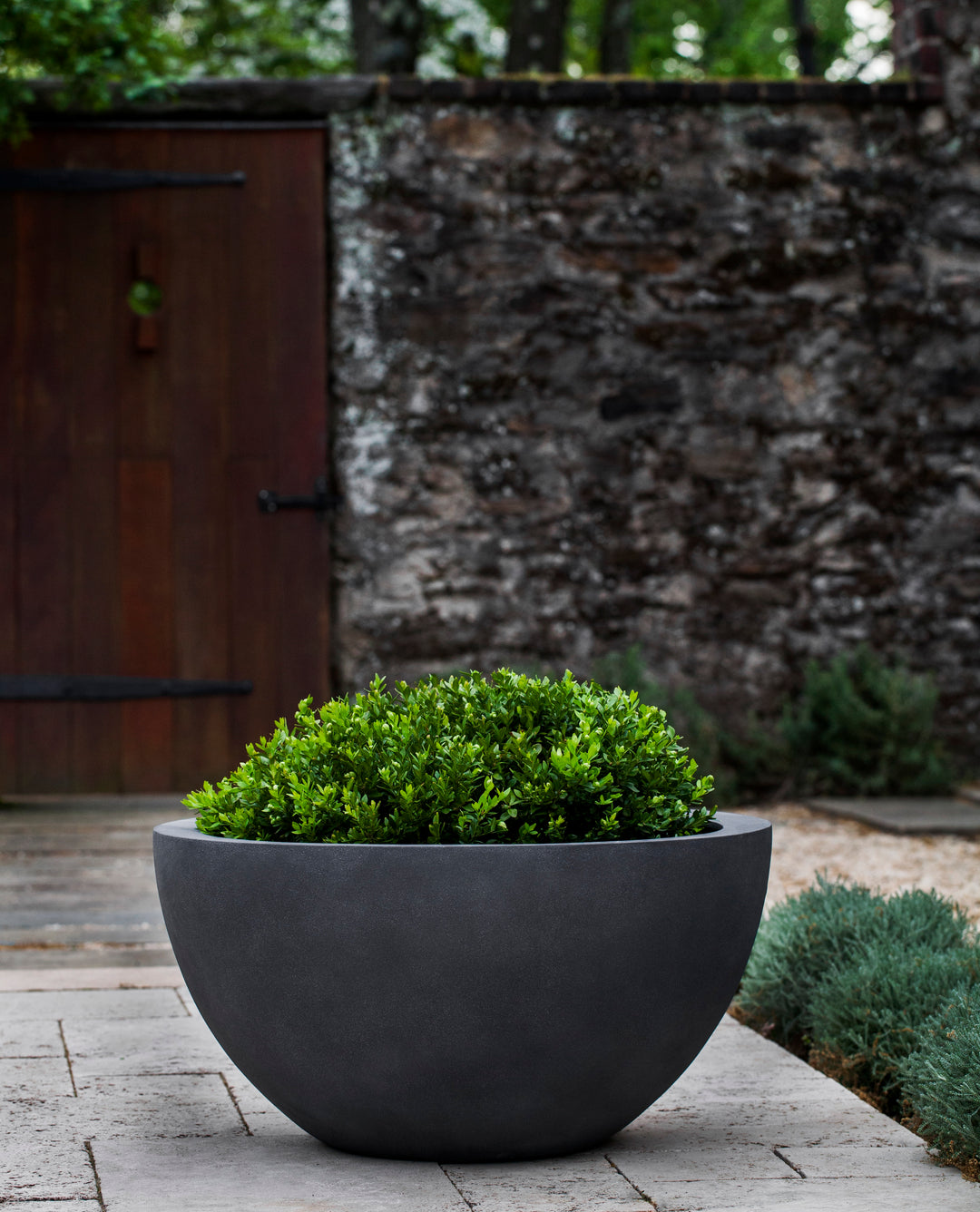 Piccadilly Planter by Campania International – Birdsall & Co.