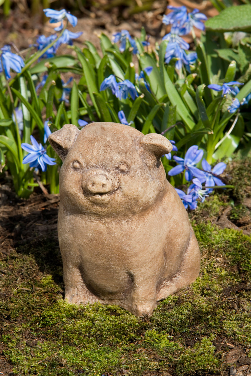 Happy light brown piglet sitting in front of blue flowers