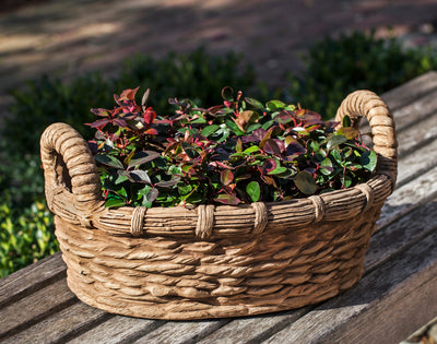 Basket shaped container planted with greenery on top of wood bench