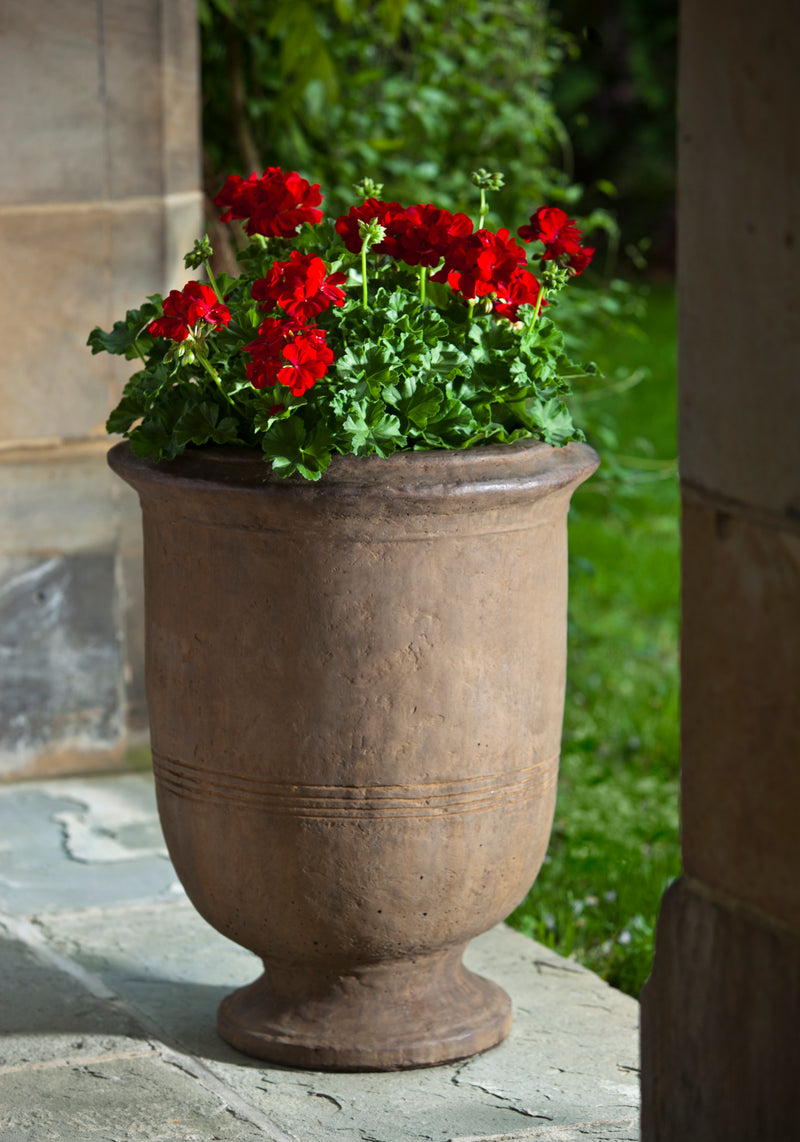 Large brown urn planted with red geraniums