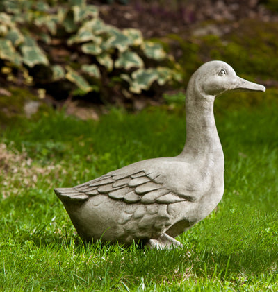 Light gray goose standing in green field
