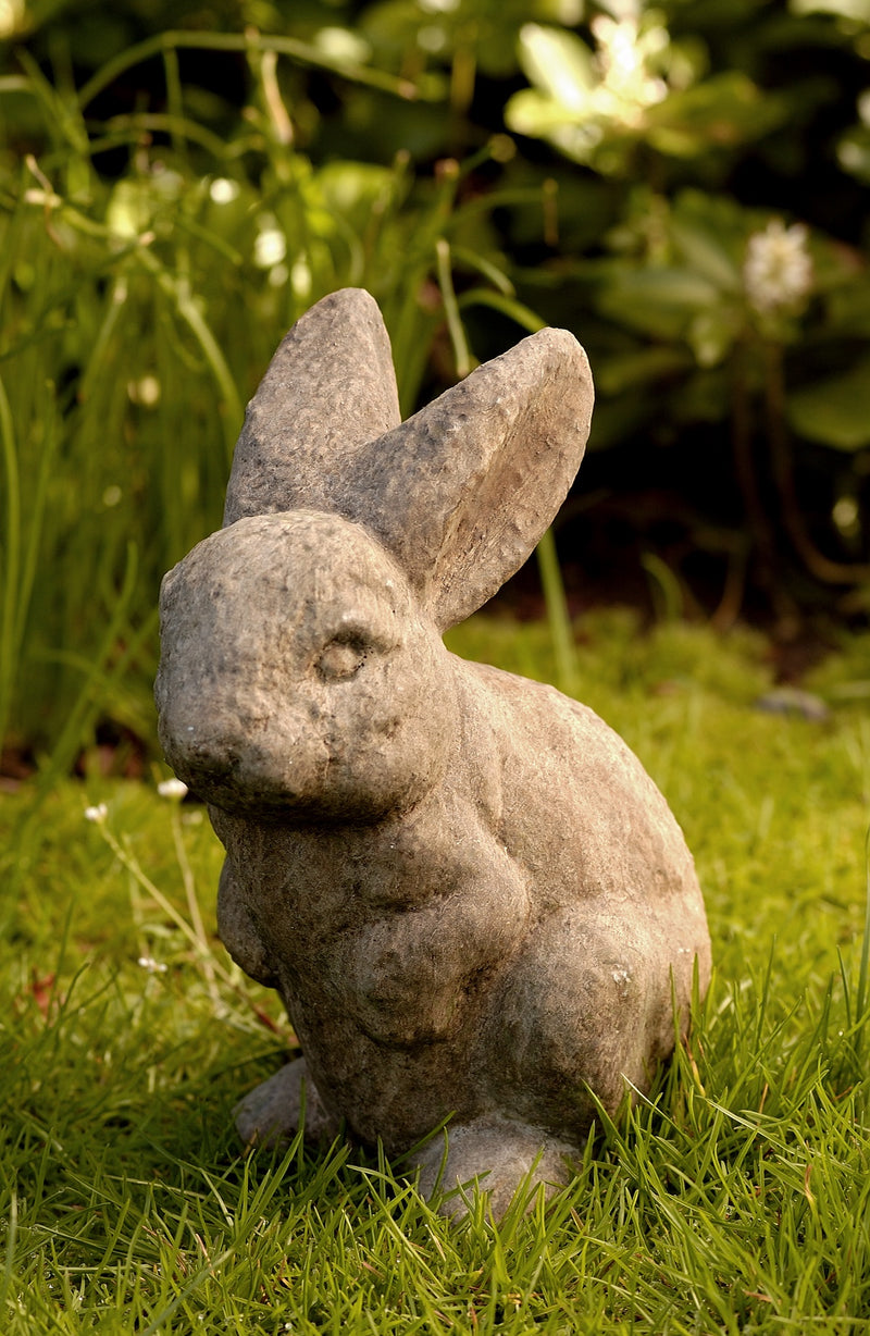 Light  gray bunny sitting up in grass