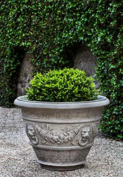 Large decorated container planted with an evergreen shrub in front of ivy wall