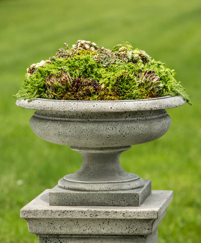 Palazzo urn planted with succulents shown on pedestal