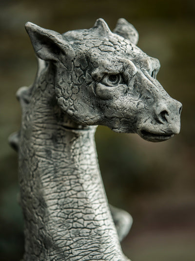 Close up of dragon's head