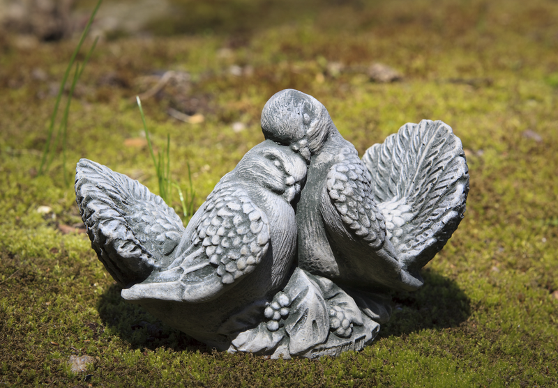 Two light gray doves hugging each other