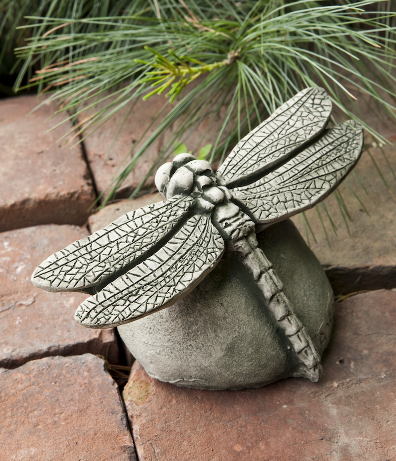 Gray dragonfly on top of a round rock 