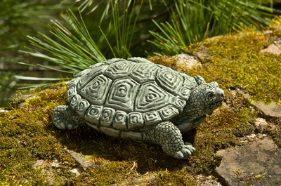 Light green turtle with square designs on shell on top of moss