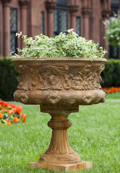 Ornate urn with morning glory designs planted with greenery in front of orange blooms