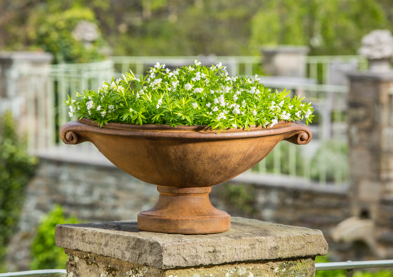 Small brown urn planted with white flowers shown on top of stone pillar