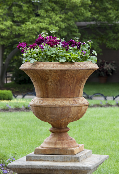 Light brown ornate urn planted with purple geraniums in front of lawn garden