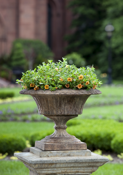 Classic urn planted with yellow annuals in front of an estate garden