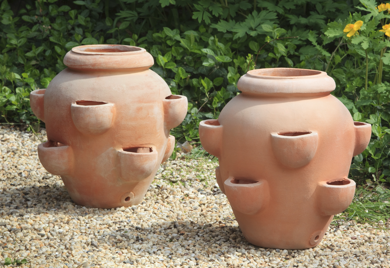 Tascandi Strawberry Jar - Set of 2 by Campania International