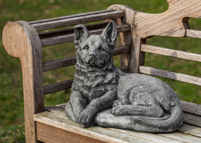 Shepherd pup sitting on wooden bench
