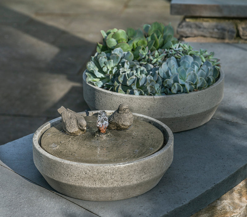 Low fountain with two birds perched by bubbler, pictured in front of a bowl planted with succulents