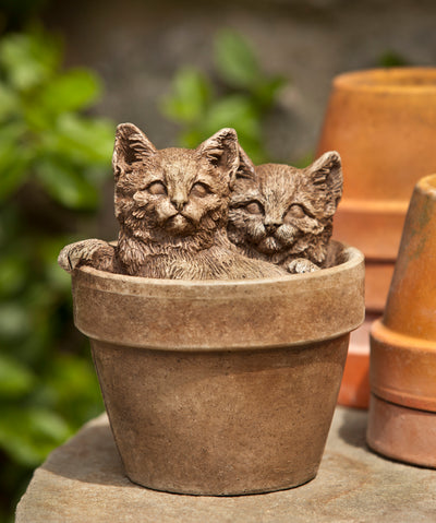 Two brown kittens sitting in a planting pot