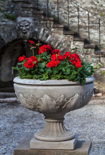 Ornate urn planted with red geraniums in front of stone stairs