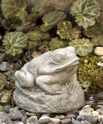 Tiny gray frog sitting on top of rock