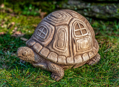 Brown turtle with window and door design on its shell