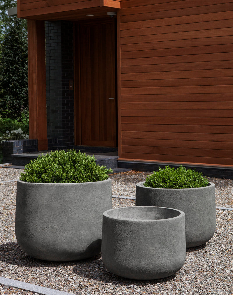Grouping of 3 contemporary containers planted with boxwood and shown in front of wood facade