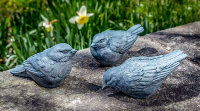 Three gray birds sitting on a wall and facing each other