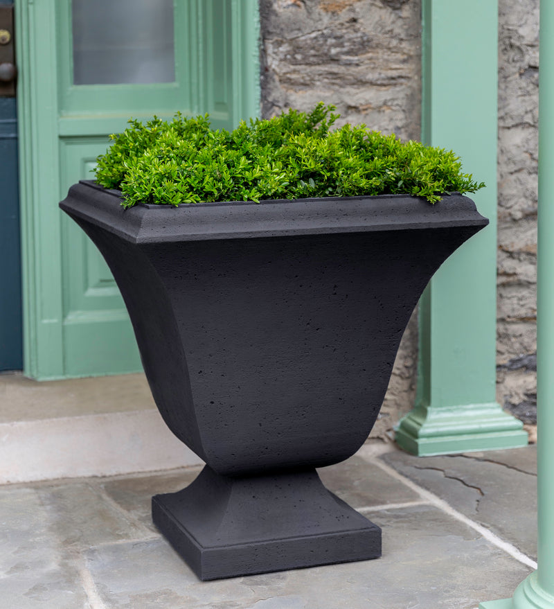 Large grey urn planted with a shrub in front of a green door