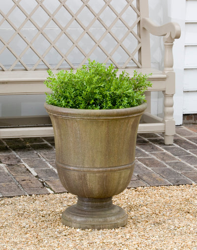 Classic urn planted with boxwood in front of a wooden bench