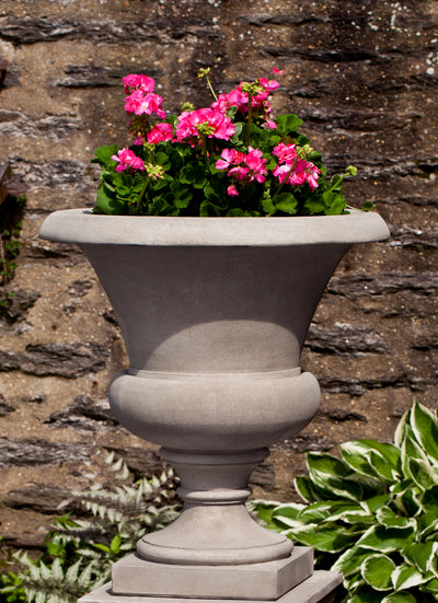Classic grey urn planted with pink geraniums in front of hostas