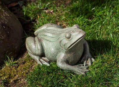 Light gray frog crouching on grass